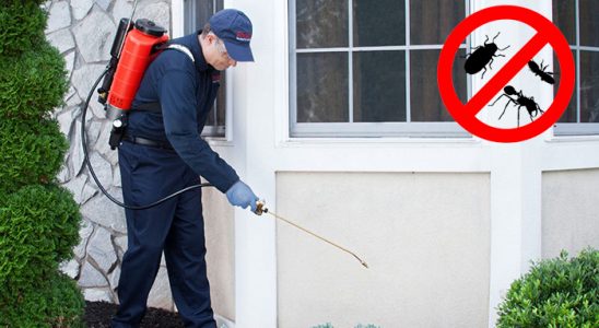 Çandarlı Karınca İlaçlama böcek ilaçlama ve haşere kontrolü — ilaclama-tr.com